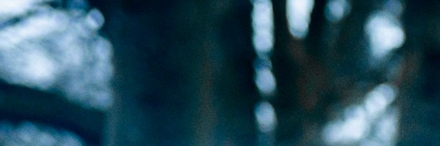 riatimkin's profile banner image