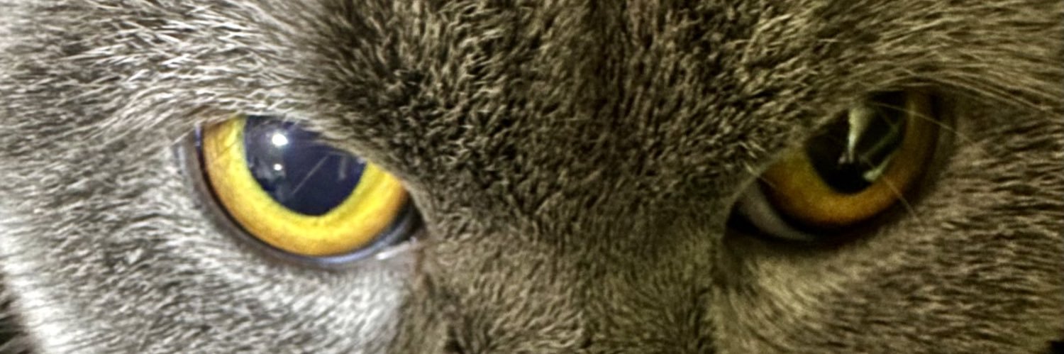 Nv banner