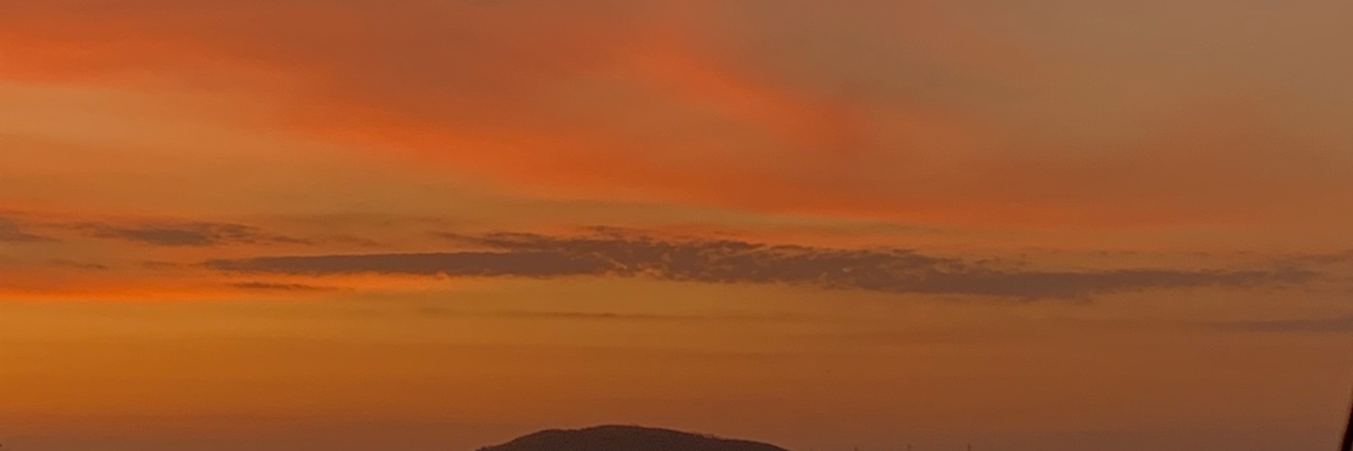 leticiajfs's profile banner image