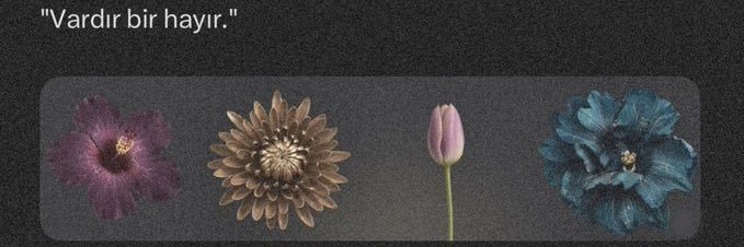 pinaryagiiz's profile banner image