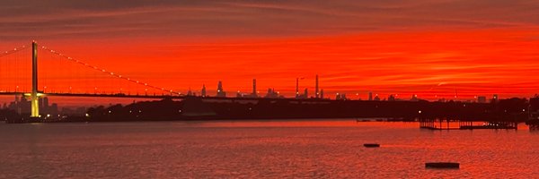 greally Profile Banner