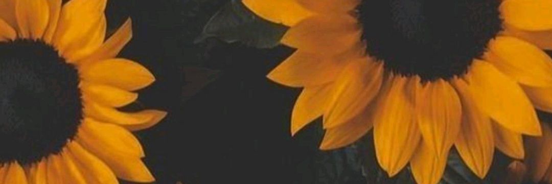 marepacheco_'s profile banner image