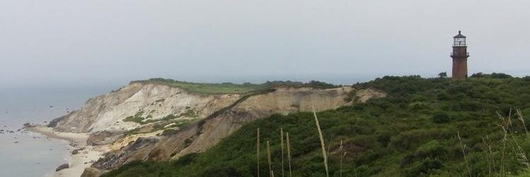 Kathy Snavely banner