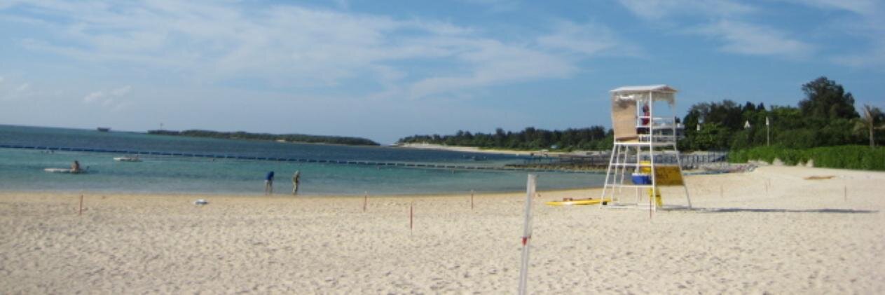 伊藤公助：Kosuke Ito banner