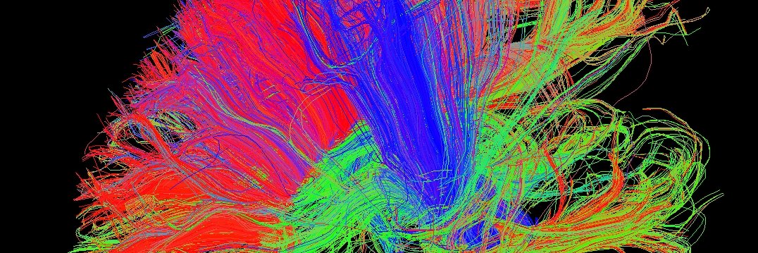 Merrin Morrison banner