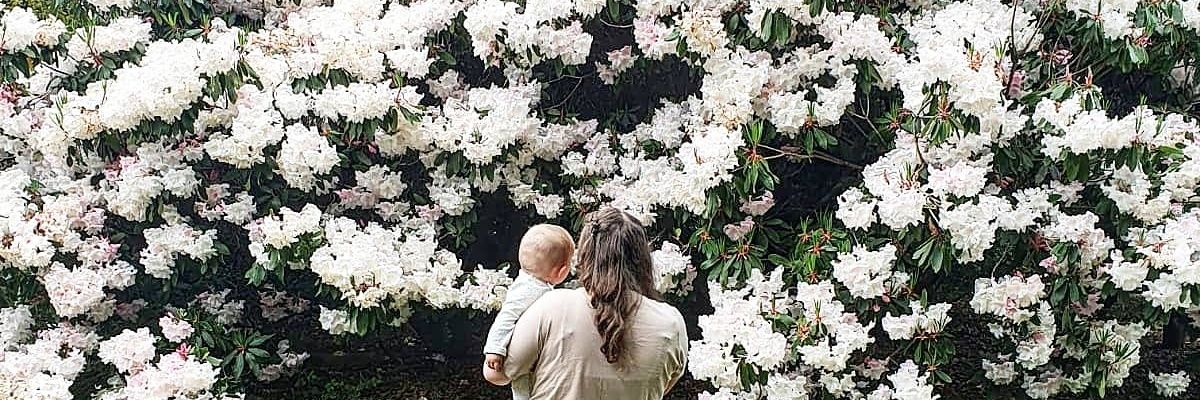 HeatherLMx's profile banner image