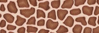 esavaliz's profile banner image