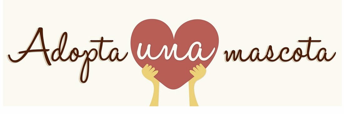 animalespalma's profile banner image