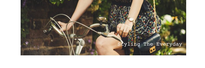 Lizzie Parsons banner