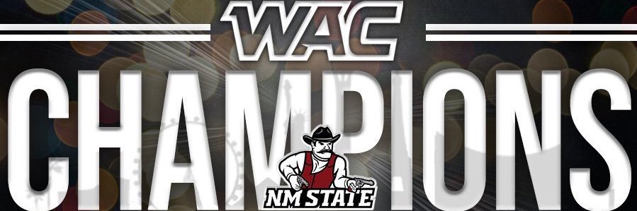 NM STATE SIGN GUYS banner
