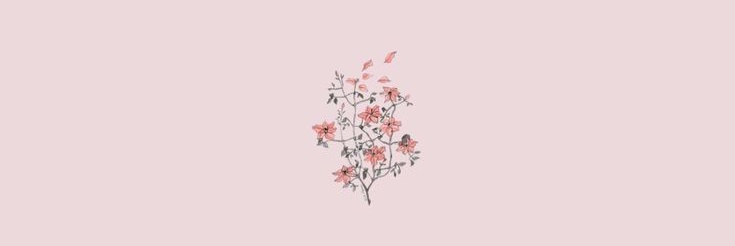 s0fi_colombo's profile banner image