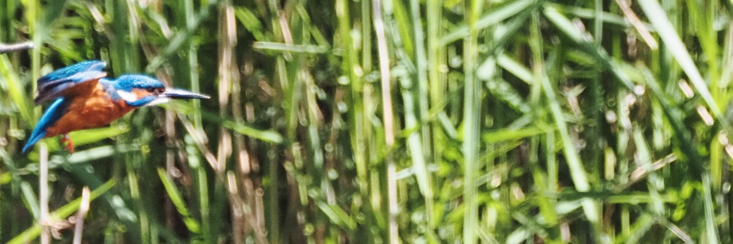RabbiJLawrence's profile banner image