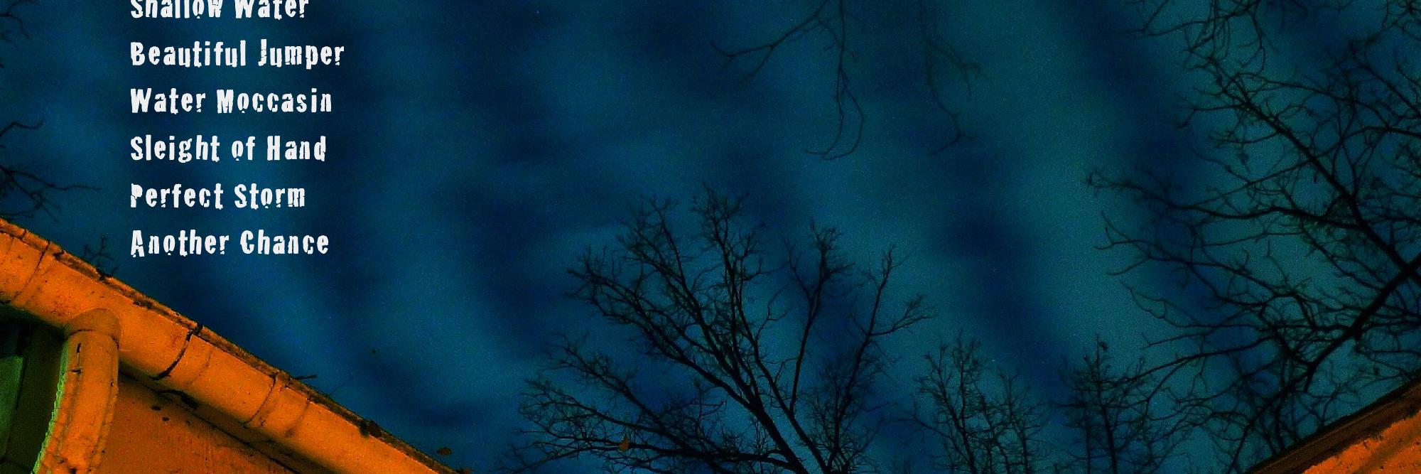 Judith Wiker banner