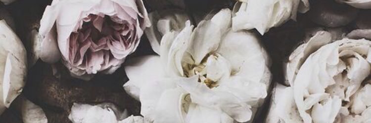 B banner