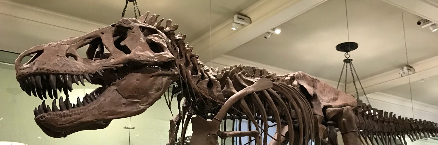bigdrainer's profile banner image