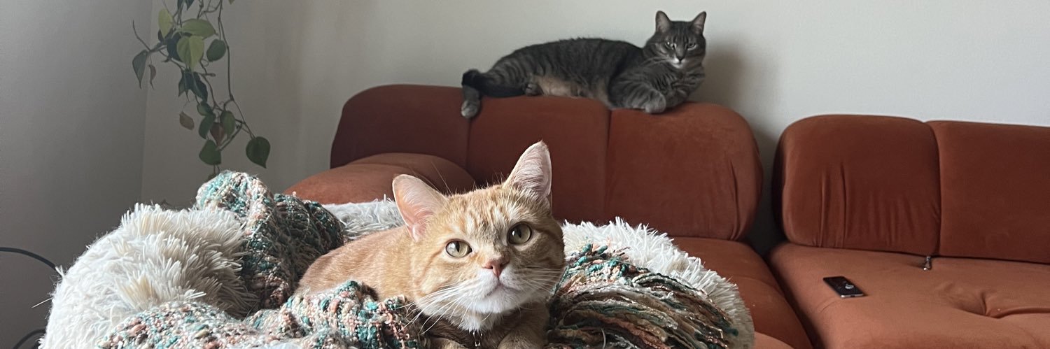 caitleblanc_'s profile banner image