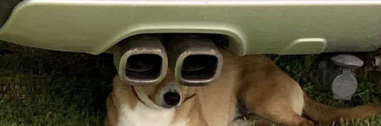 ava777777's profile banner image