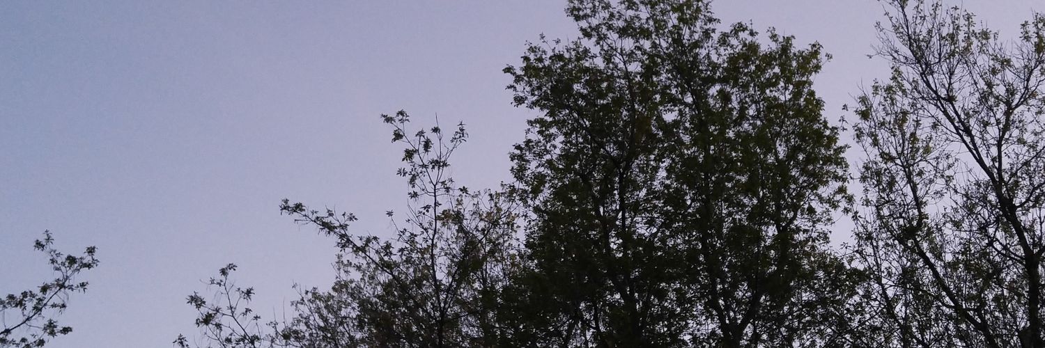 patrickdynamite's profile banner image