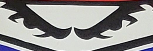 Ralph Judkins banner