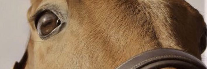 KellySharrock01's profile banner image
