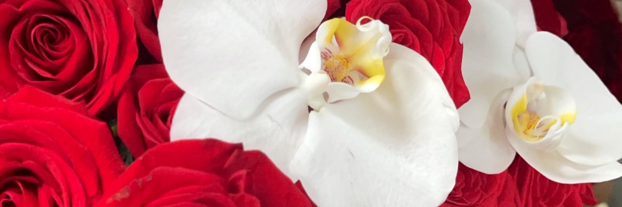 marthagarza1's profile banner image