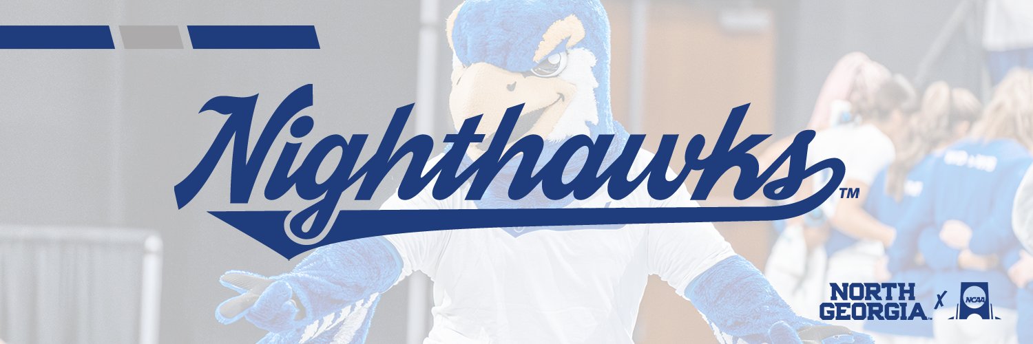Nigel the Nighthawk banner