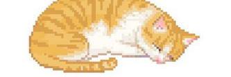santymotis's profile banner image