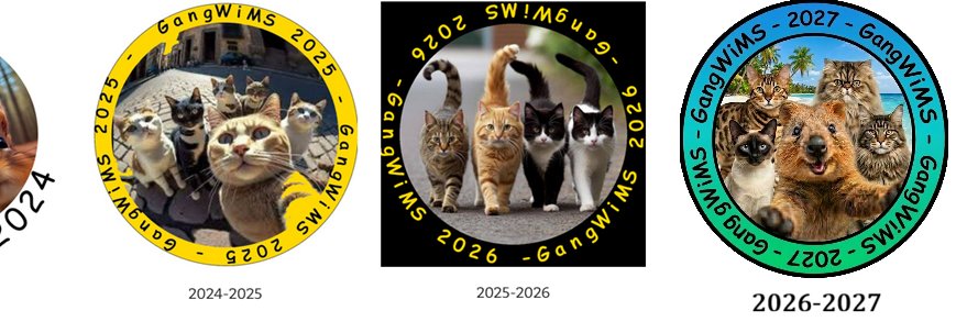 🗨 #GangWiMS 💭 @gangwims.bsky.social banner