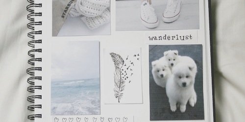 ElenaFoxSA's profile banner image