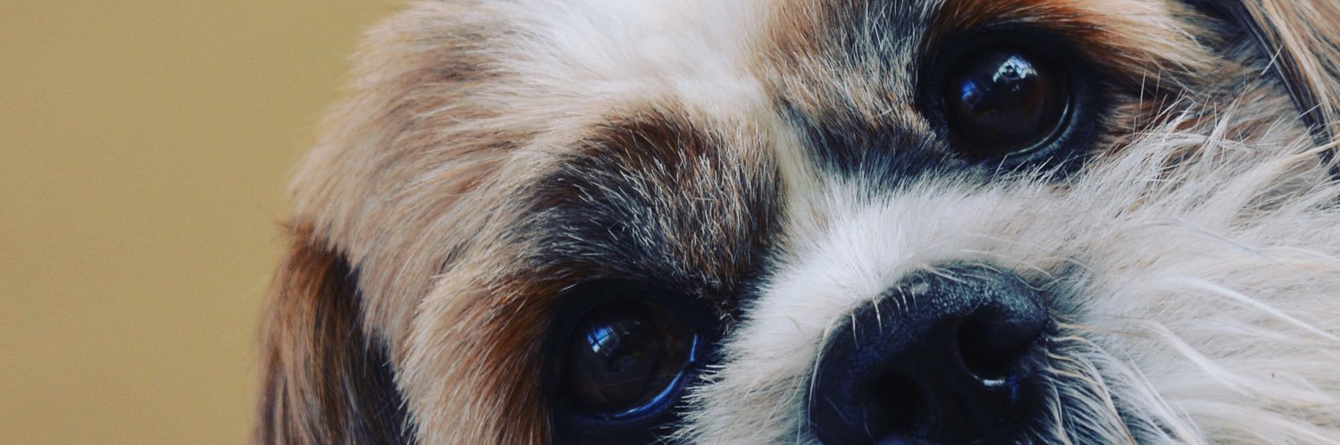 Charlie | Modish Male banner