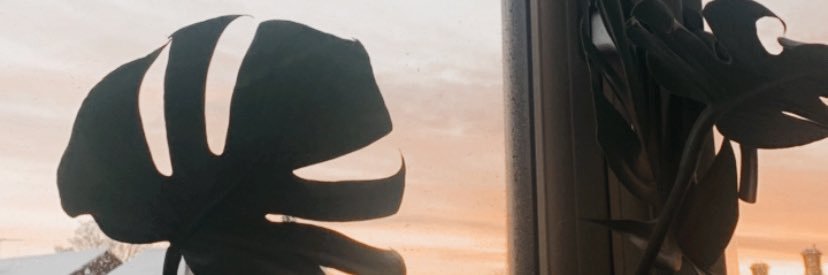 molsdenh's profile banner image