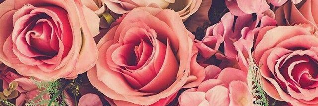 __katpolancop's profile banner image