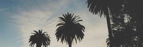 iconcam's profile banner image