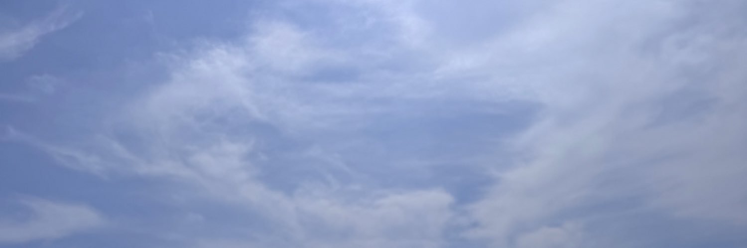 lmver1's profile banner image