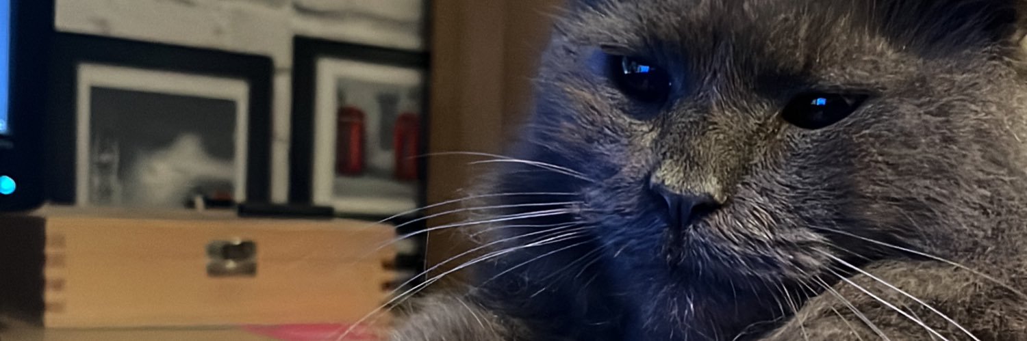 dan banner