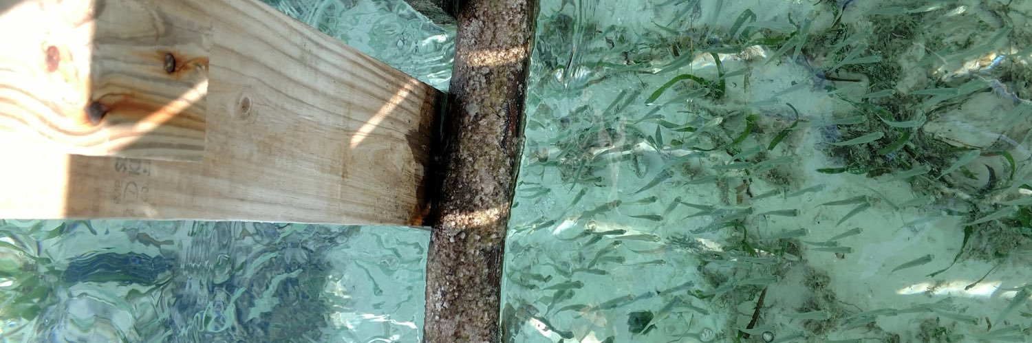 atlantis princess 🍉 banner