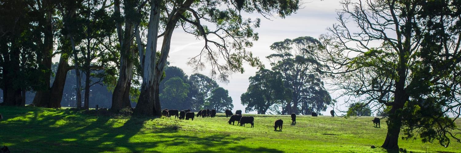 MilkingYardFarm's profile banner image