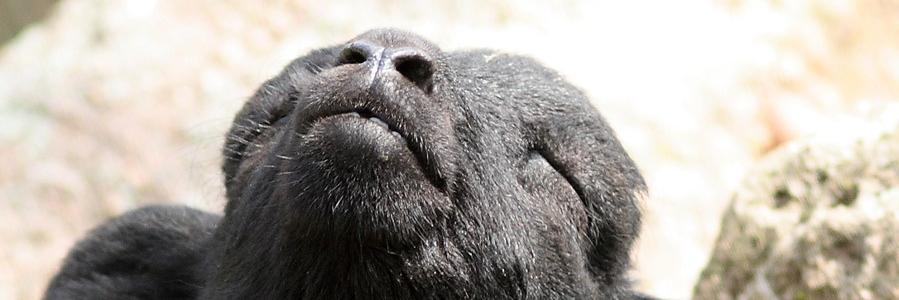jeff_face's profile banner image