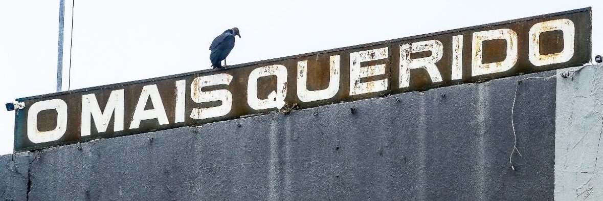 wallacew¹⁸⁹⁵ banner