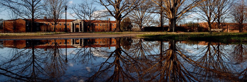 UT Martin BIS banner