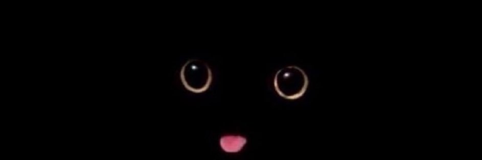 torixmandato's profile banner image