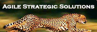 AgileStrategicS's profile banner image