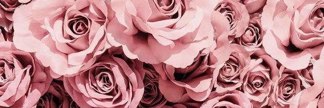 Lelia_Agus's profile banner image