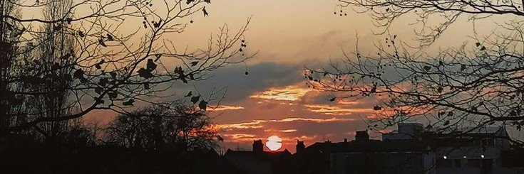ciggrette's profile banner image