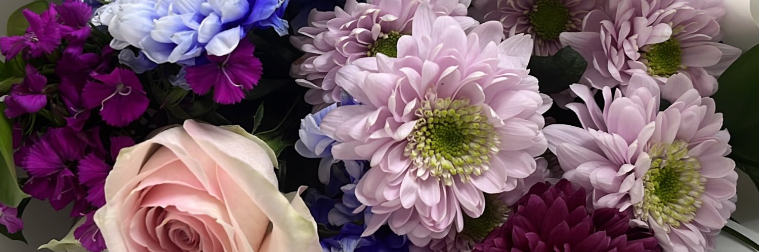 ecemsozen's profile banner image