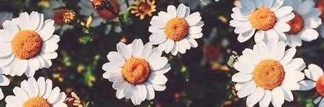 _KelliJohnson's profile banner image