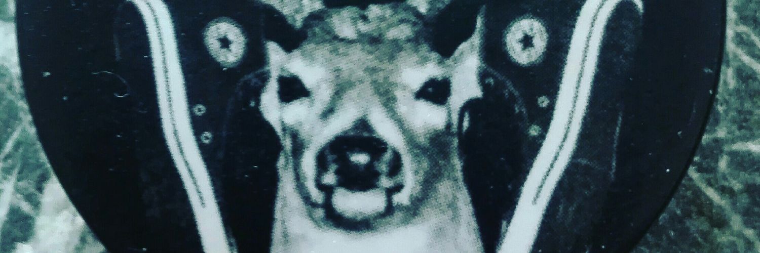 lamodelamode's profile banner image