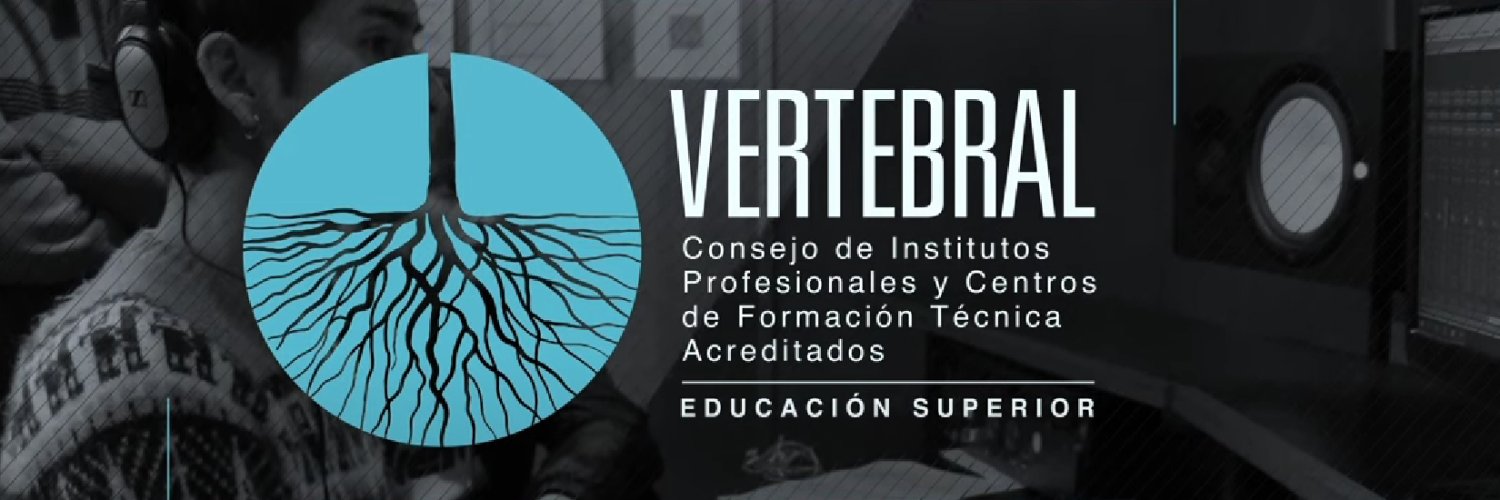 Vertebral Chile banner