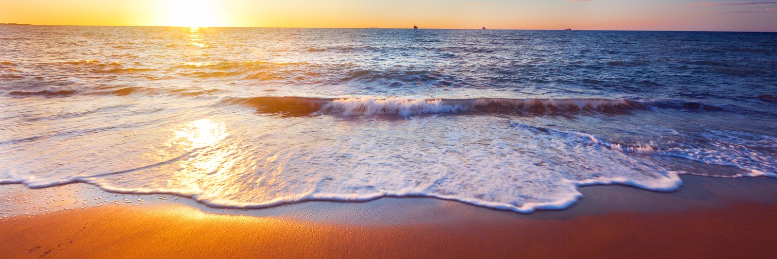 Dr. Staci Block banner