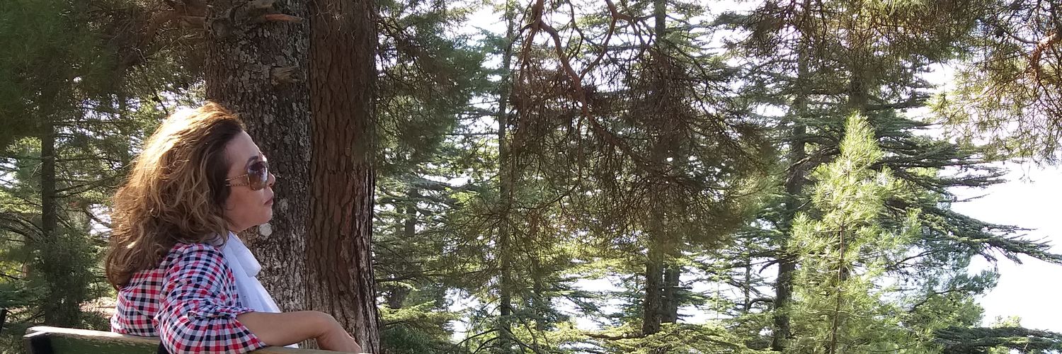 MuallimSeyyah's profile banner image